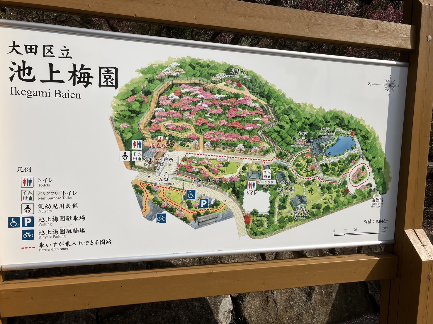 池上梅園 池上梅園