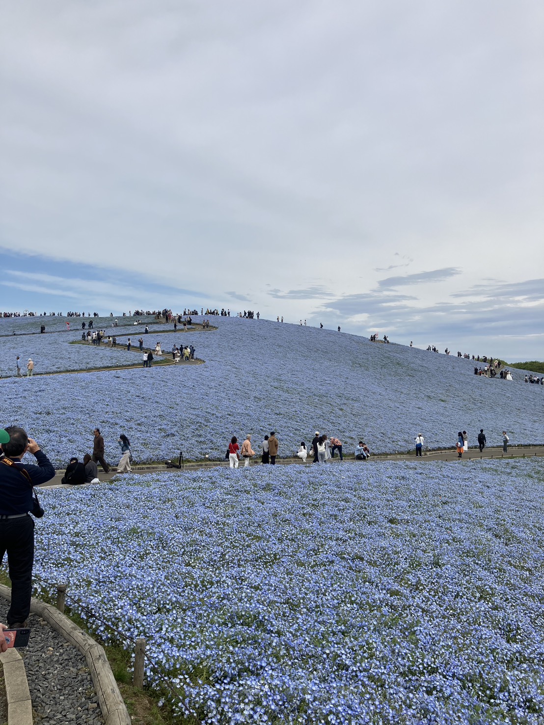 ひたち海浜公園